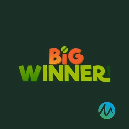 Logo bigwinner